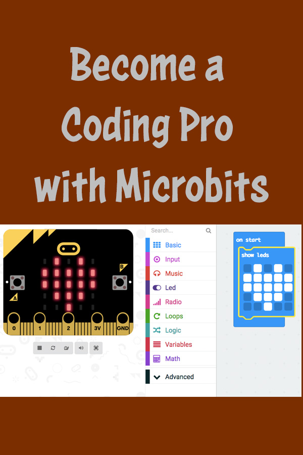 Become a coding pro with microbits